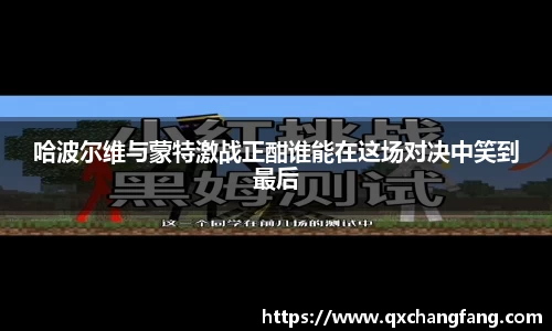 哈波尔维与蒙特激战正酣谁能在这场对决中笑到最后